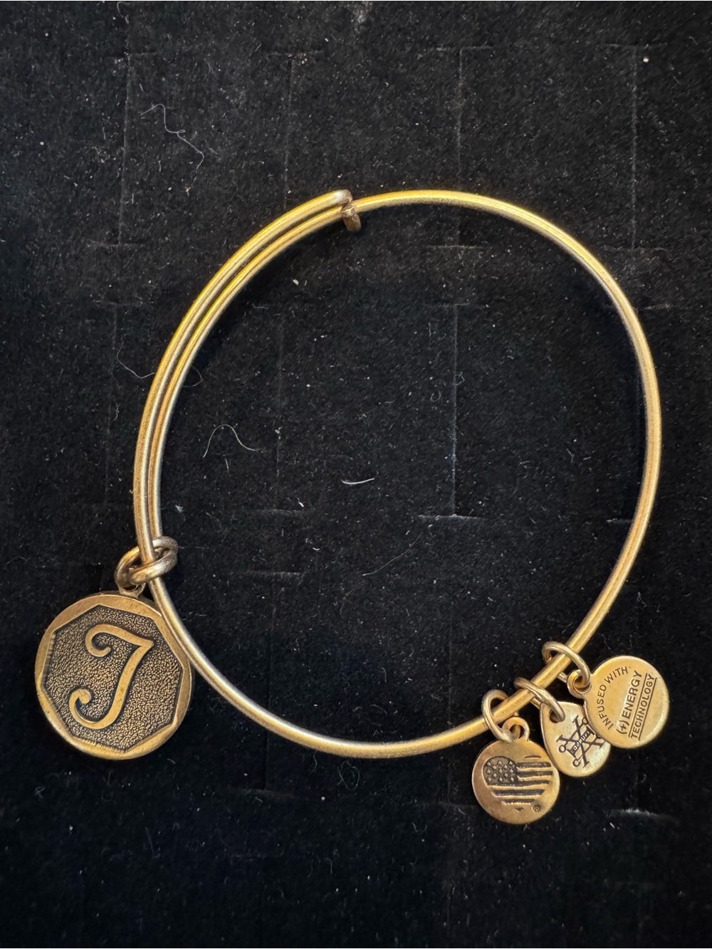 Alex and Ani Initial J Charm Expandable Bangle Bracelet Gold Tone 2017